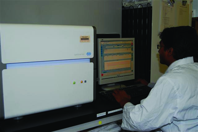 Research activity